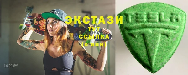 соль ск Ельня