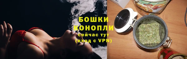 соль ск Ельня