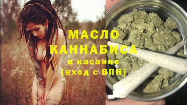 соль ск Ельня