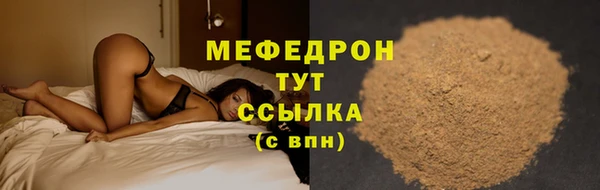 соль ск Ельня