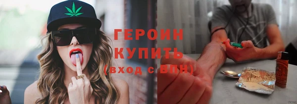 соль ск Ельня