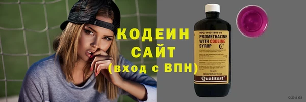 соль ск Ельня
