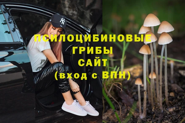 соль ск Ельня