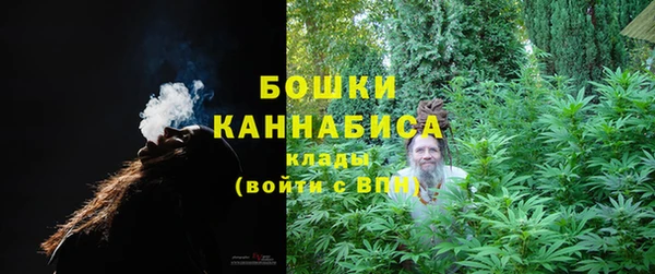 соль ск Ельня