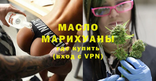 соль ск Ельня