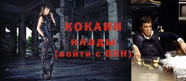 соль ск Ельня