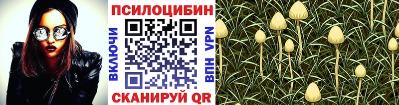 Купить  Шарыпово  Псилоцибиновые грибы прущие грибы 